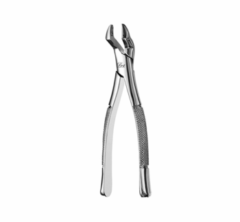 Best Universal Extraction Forceps #10S, 1/Pk