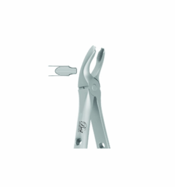 Best Atraumatic Extraction Forceps #P-3, 1/Pk