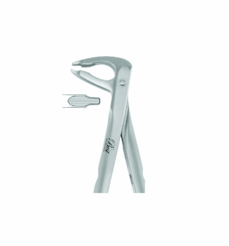 Best Atraumatic Extraction Forceps #P-4, 1/Pk