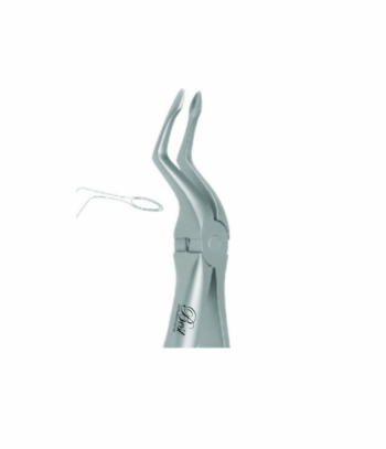 Best Atraumatic Extraction Forceps #P-6, 1/Pk