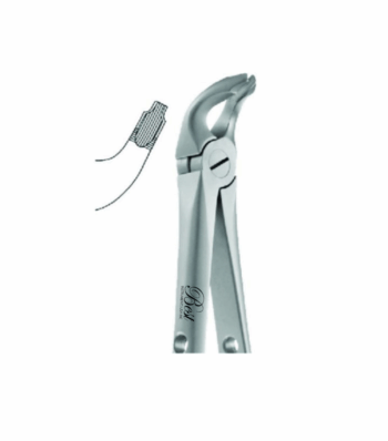 Best Atraumatic Extraction Forceps #P-8, 1/Pk