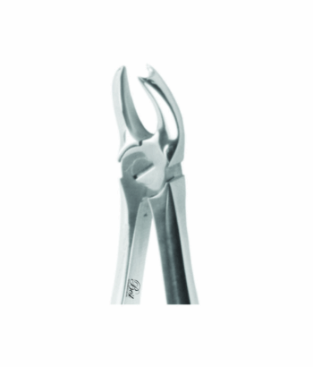 Best Atraumatic Extraction Forceps #P-10, 1/Pk