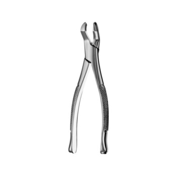 Best  Extraction Forceps Upper Molar Right #53R, 1/Pk