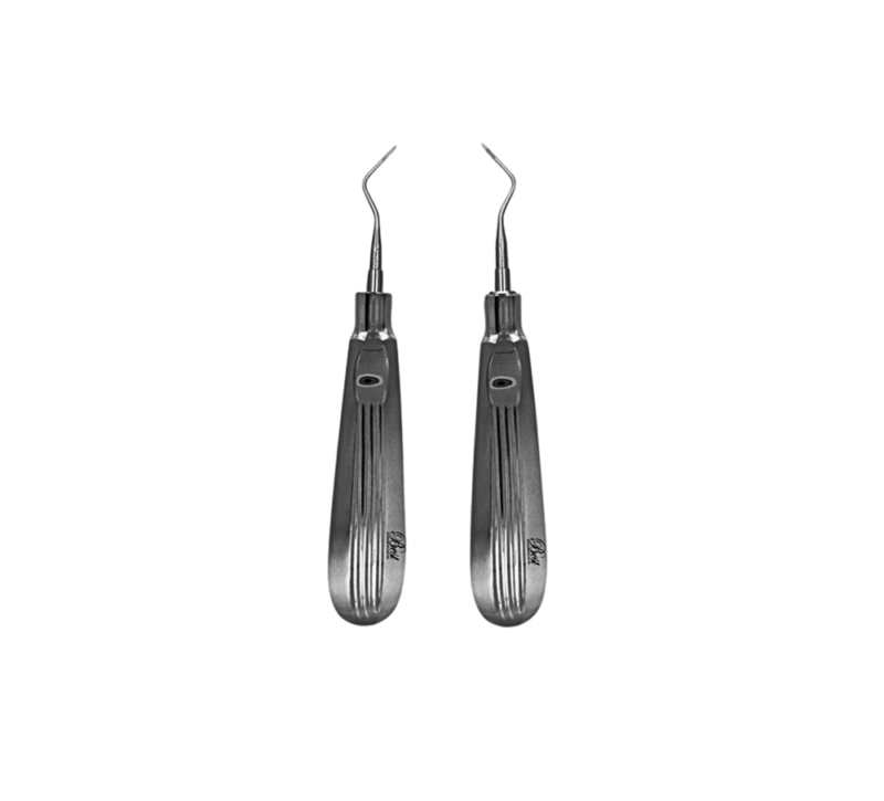 Best Root Pick Elevator #2&3, 2/Pk