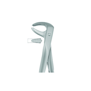 Best Stainless Steel Atraumatic Extraction Forceps #P-7, 1/Pk