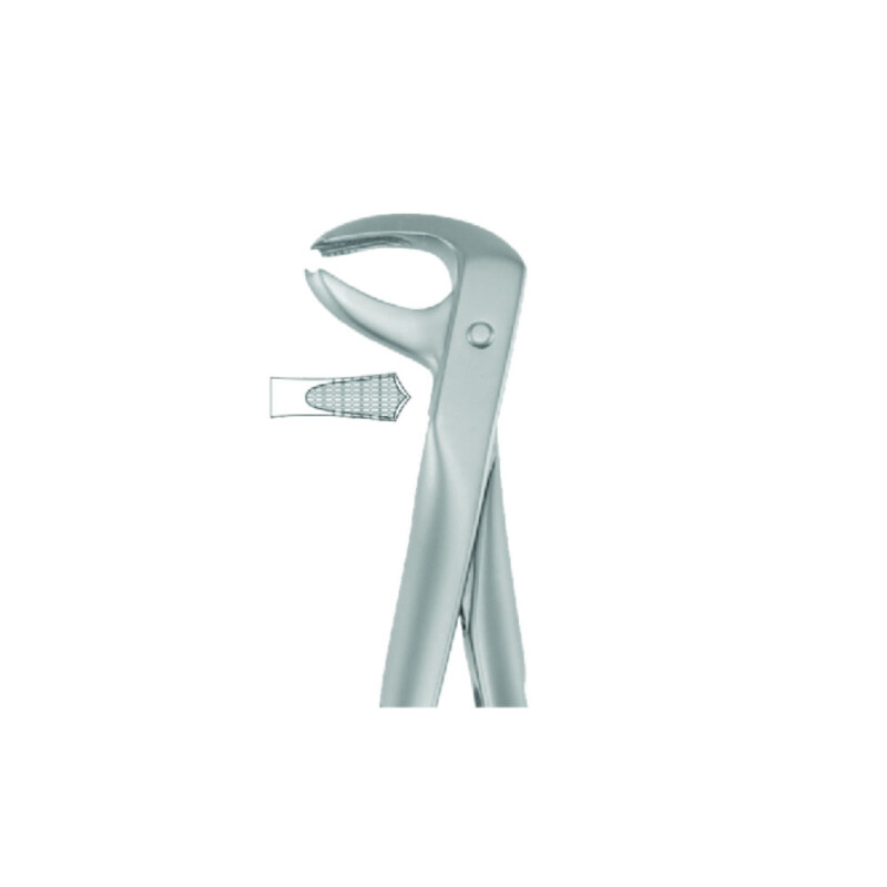 Best Stainless Steel Atraumatic Extraction Forceps #P-7, 1/Pk