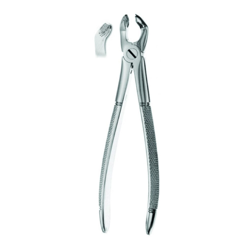 Best Extraction Forceps Lower Wisdom Terceros Molares Inferiores #79 ,1/Pk