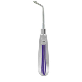 Bernard Right With Blue Handle