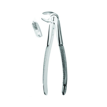 Best Extraction Forceps Lower Molar #22, 1/Pk